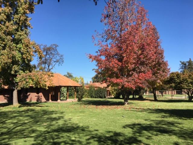 住宿加早餐  Casa Los Ciervos