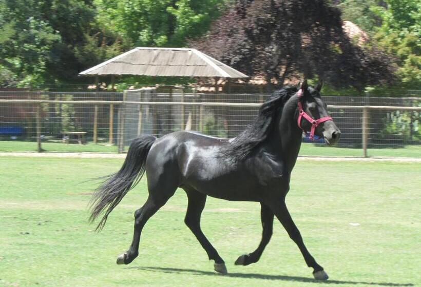 住宿加早餐  Casa Los Ciervos