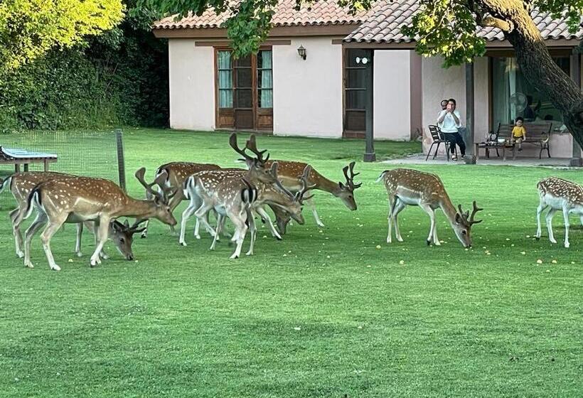 住宿加早餐  Casa Los Ciervos