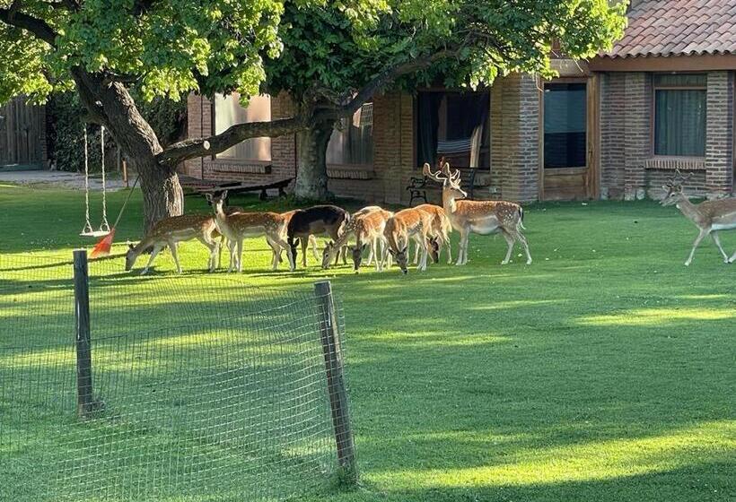 住宿加早餐  Casa Los Ciervos