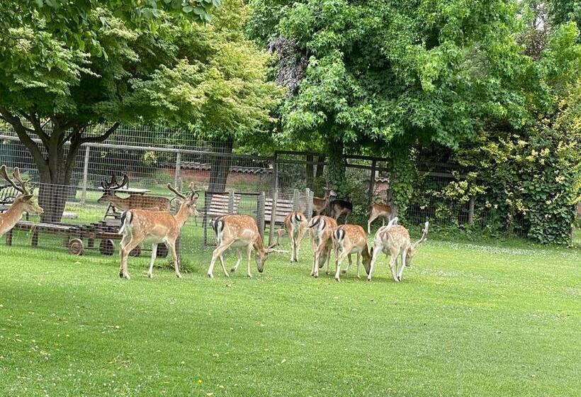 住宿加早餐  Casa Los Ciervos