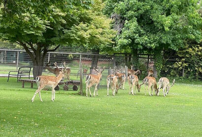 住宿加早餐  Casa Los Ciervos