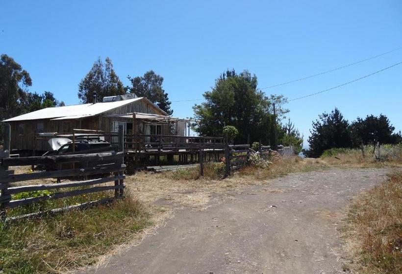 Bed & Breakfast Ekilibre Surf Eco Hostal