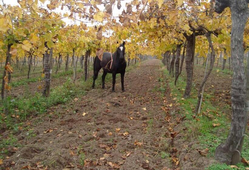 ベッドアンドブレックファースト Santa Filomena De Cunaco