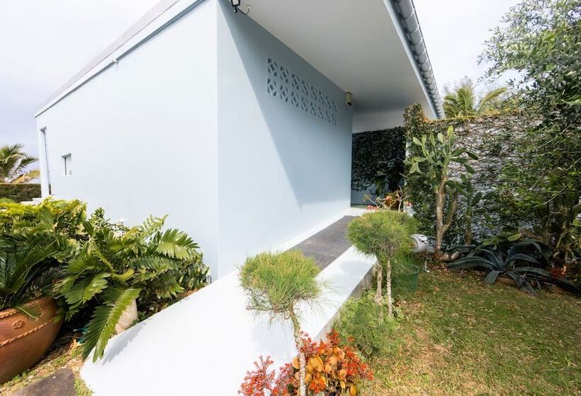 Coast Cook Islands   3 Bedroom Beachfront Pool Villa