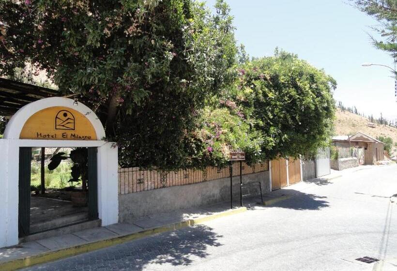 酒店 El Milagro