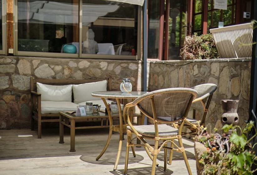 فندق El Tesoro De Elqui