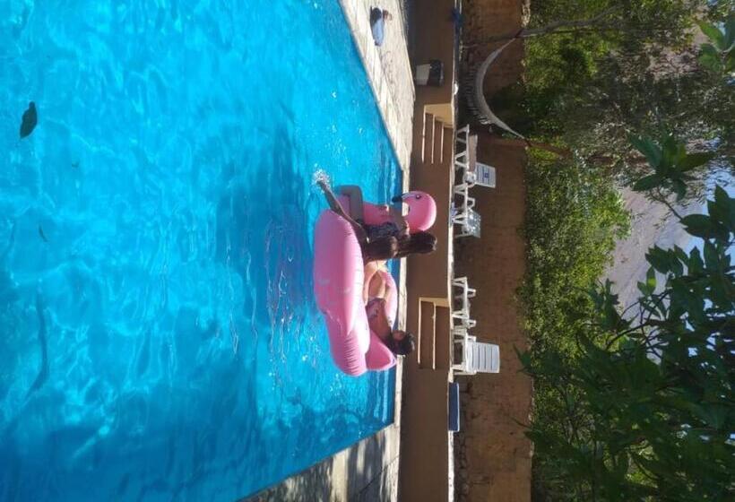 Отель Ruta Elqui