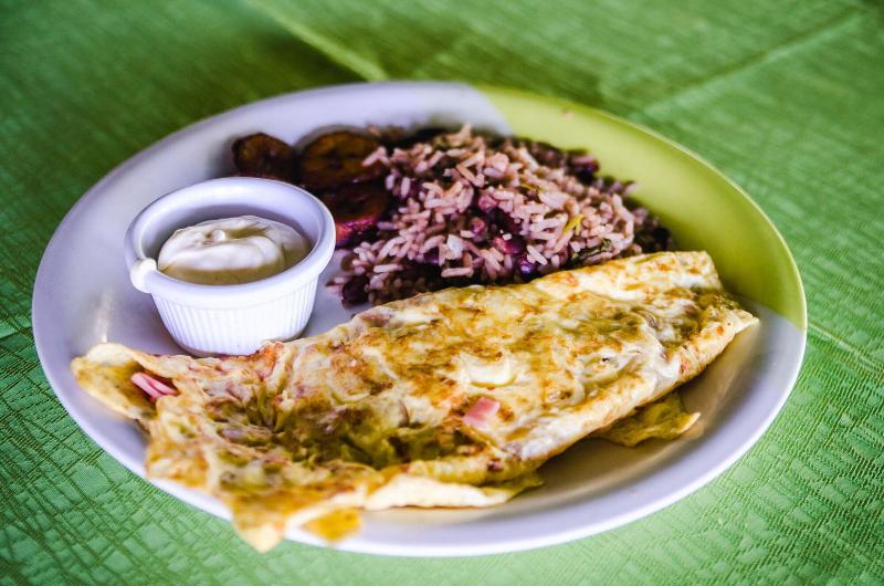 호텔 Tortuguero Beachfront