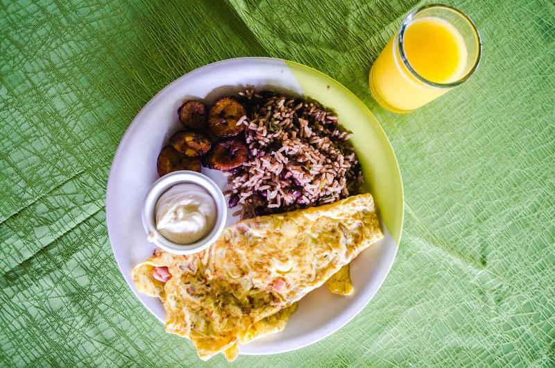 호텔 Tortuguero Beachfront