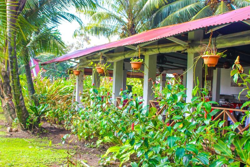 호텔 Tortuguero Beachfront