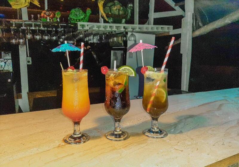 호텔 Tortuguero Beachfront