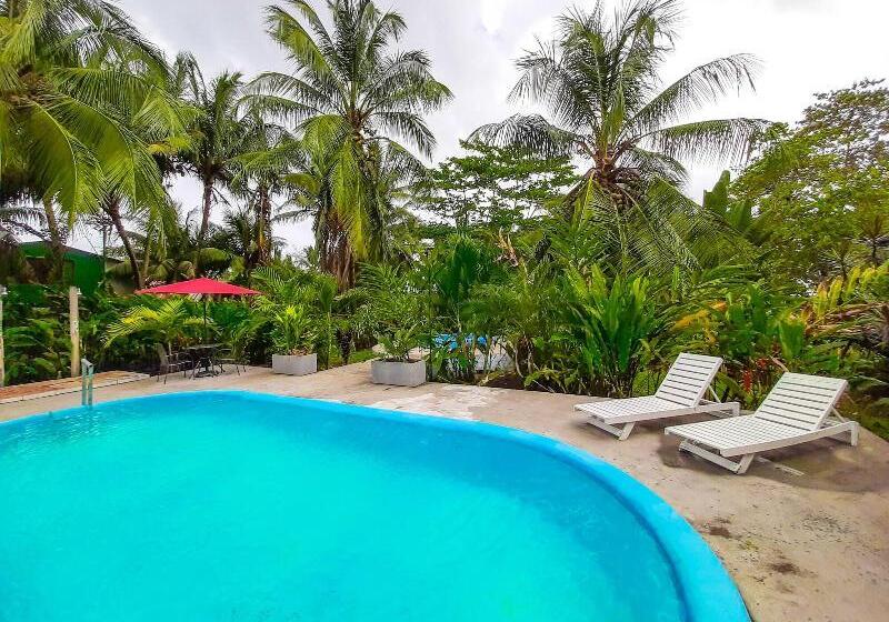 호텔 Tortuguero Beachfront