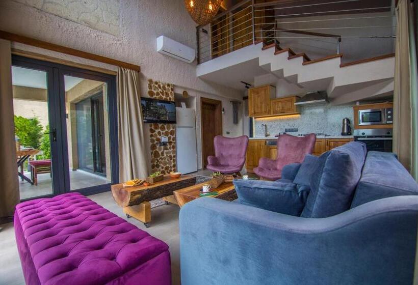 Volans Suites Villas