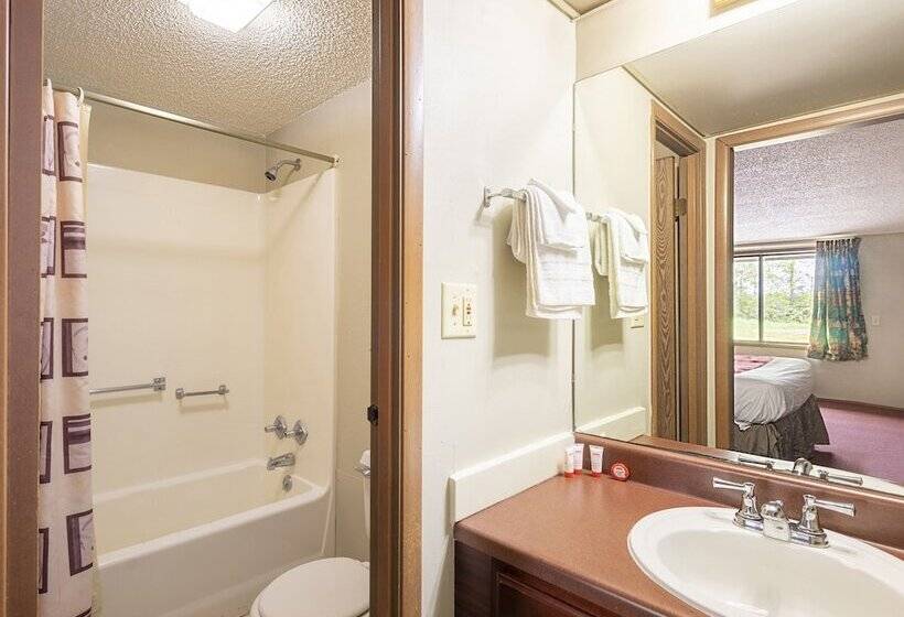 Oyo Hotel Daleville Al Hwy 84