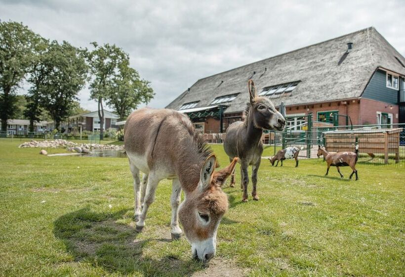 צימר Buiten Gewoon   Gewoon Buiten