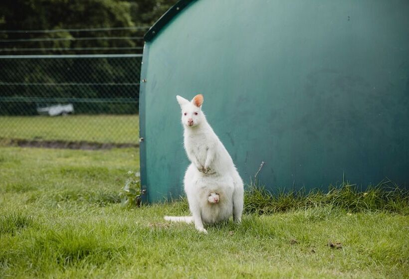 צימר Buiten Gewoon   Gewoon Buiten