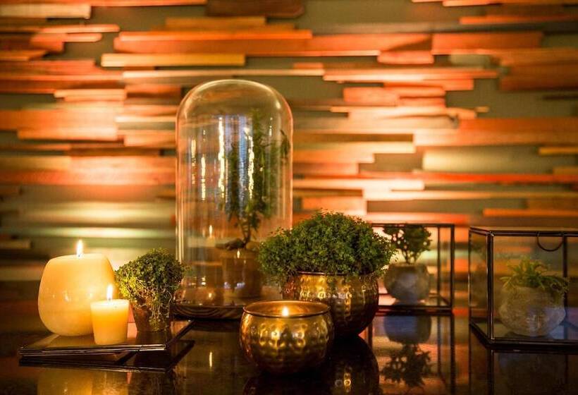 酒店 Alto Del Sol Plaza Mejillones