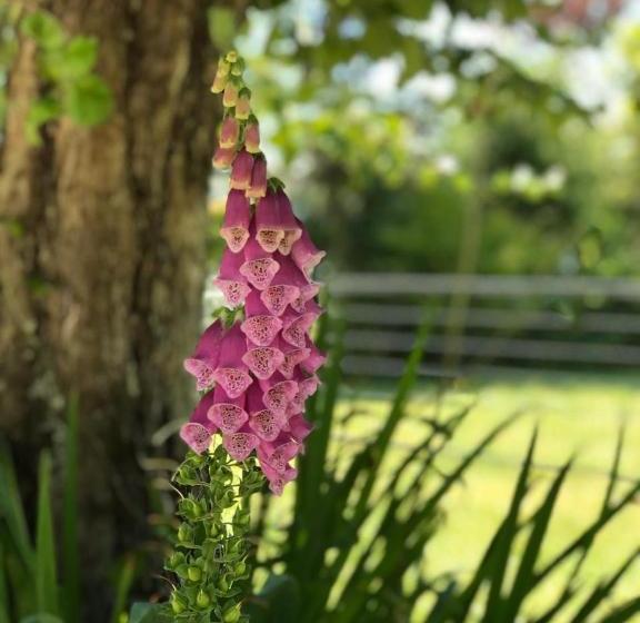 בית מלון כפרי Boutique Cutipay