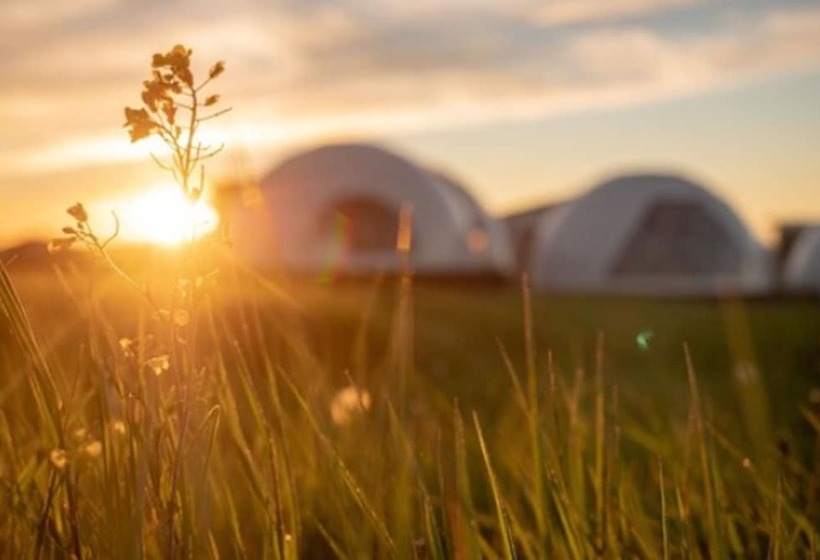 فندق Garden Domes