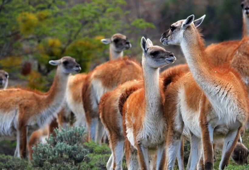 فندق Garden Domes