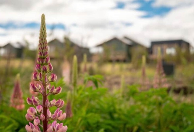 فندق Garden Domes