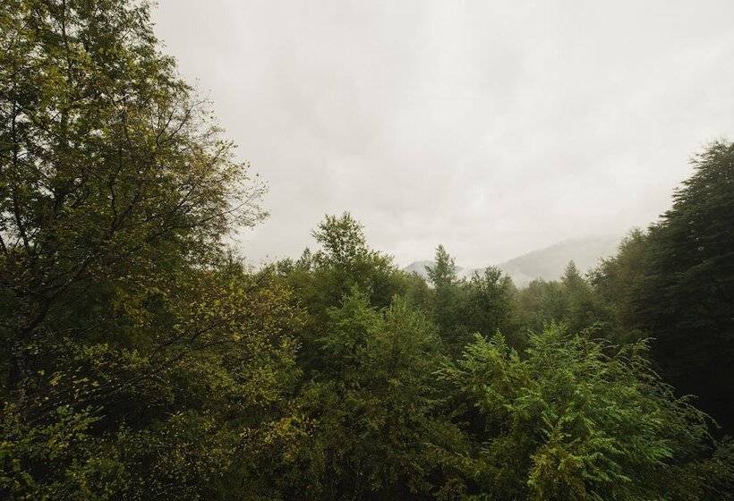 호텔 Huilo Huilo Reino Fungi