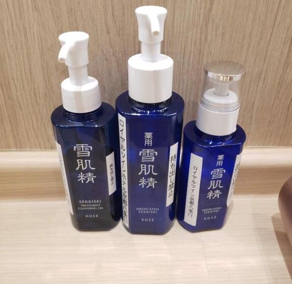 Royal Twin Hotel Kyoto Hachijoguchi