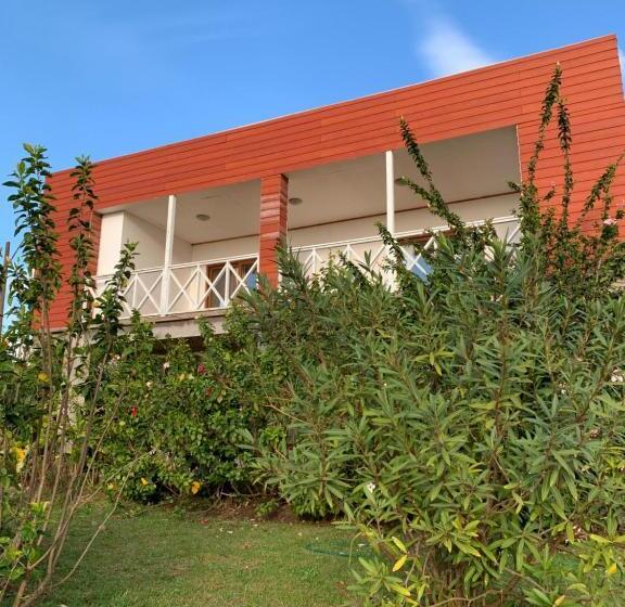 ホテル Teanehi Bed & Breakfast