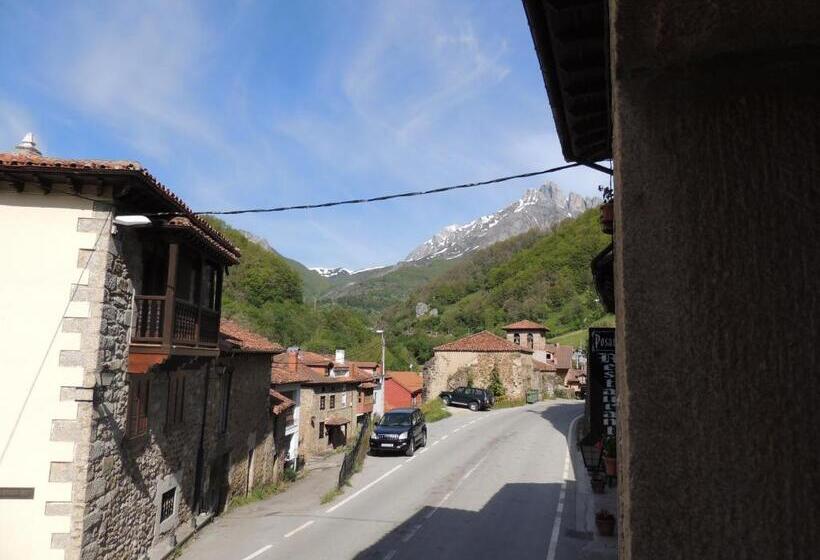 هاستل Posada Maximo