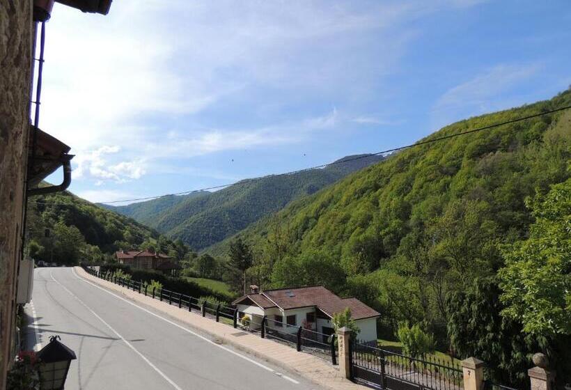 هاستل Posada Maximo