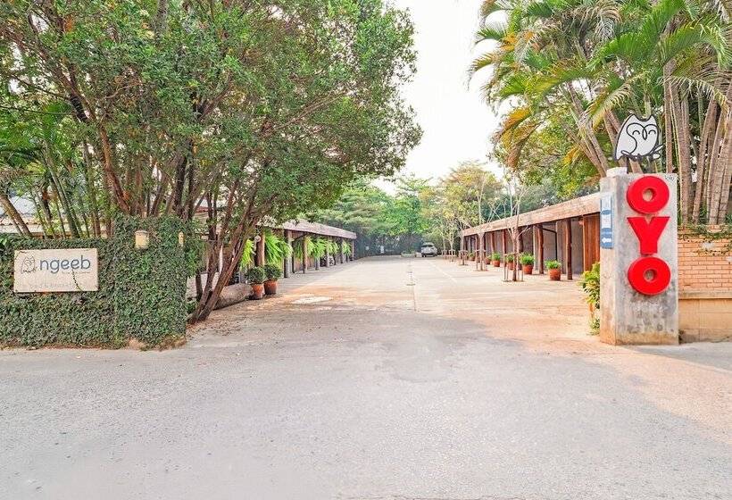 호텔 Ngeeb Bed & Breakfast