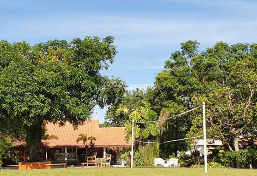 Palmier Hotel & Convenções