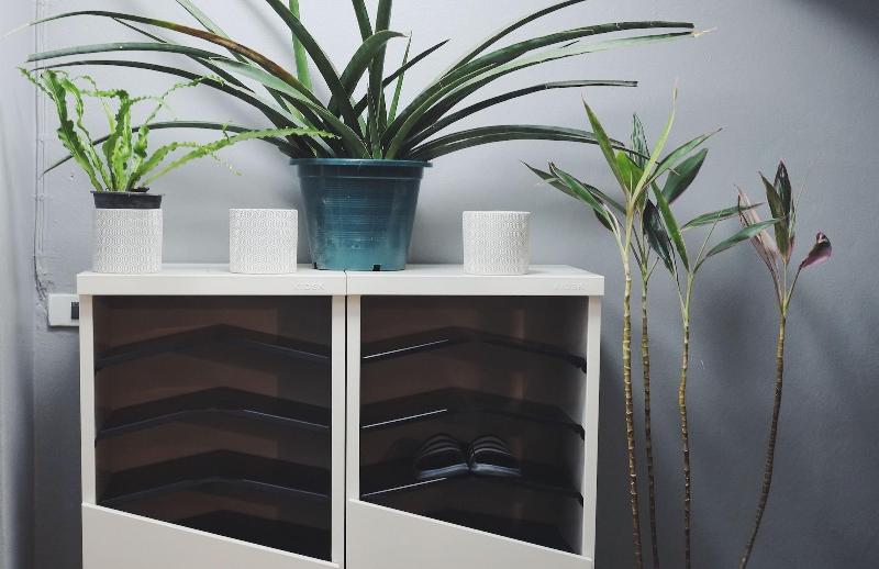 Отель Soundsleep Hostel