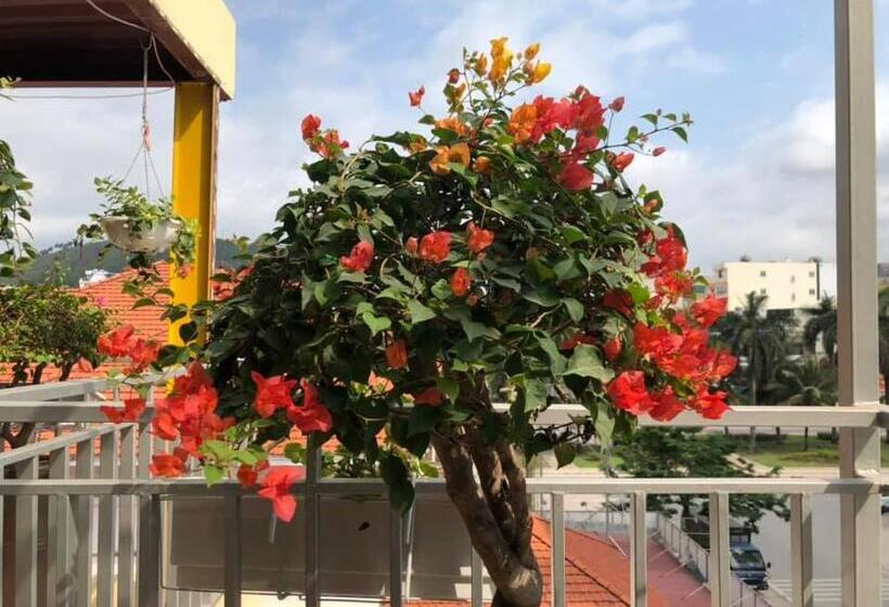 هتل Babylon Ha Long