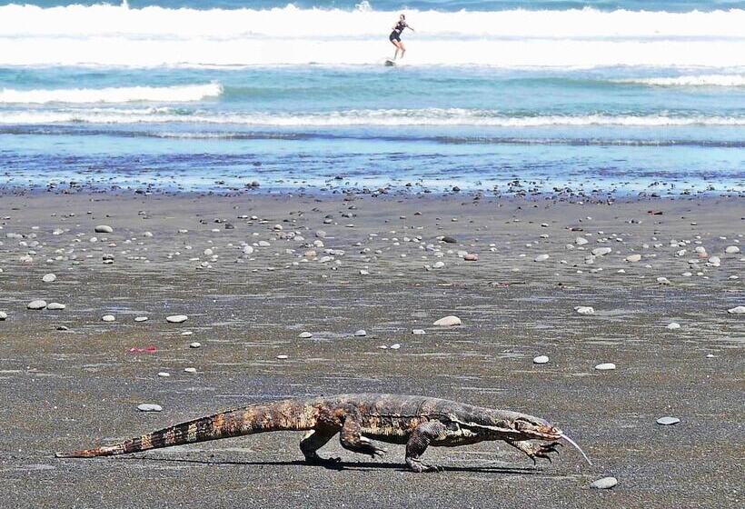 בית מלון כפרי Wide Sands Beach Retreat