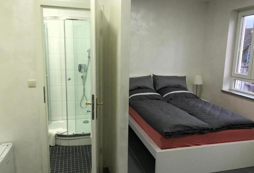 ホテル Apartments & Rooms Bad Soden