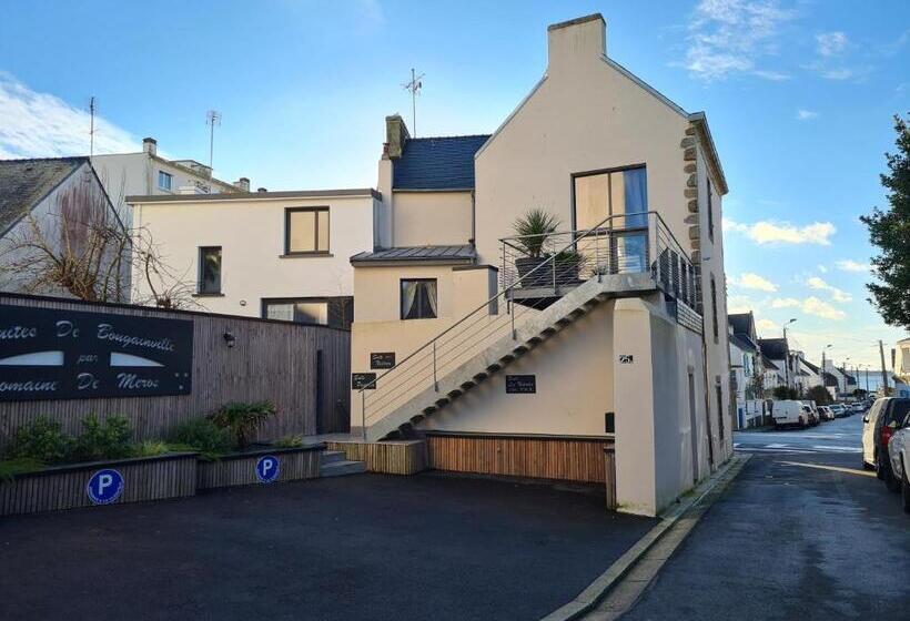 Les Suites De Bougainville