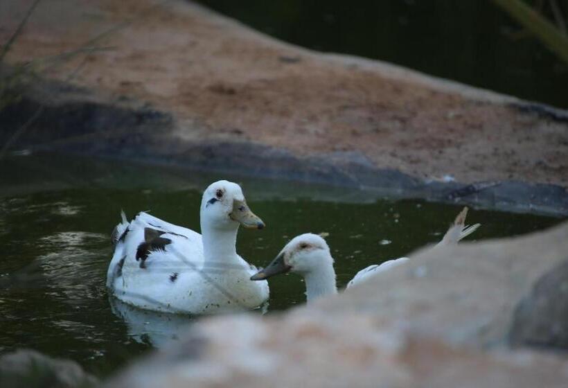 بنسيون Dar Tawarta Guest House Dakhla