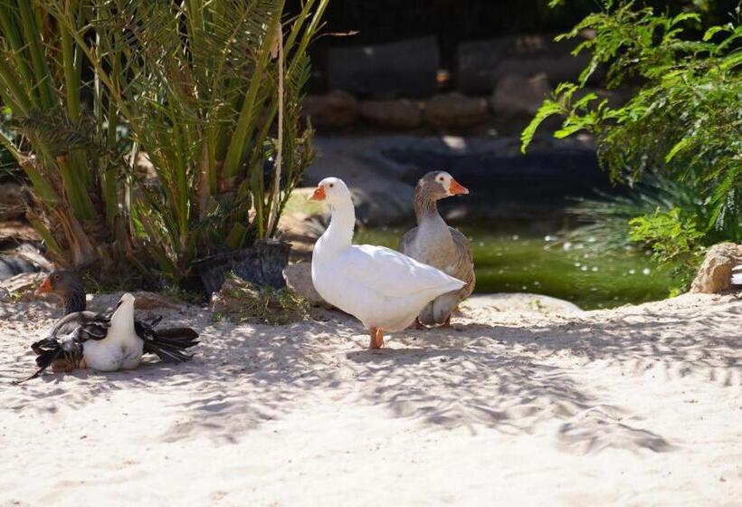 بنسيون Dar Tawarta Guest House Dakhla