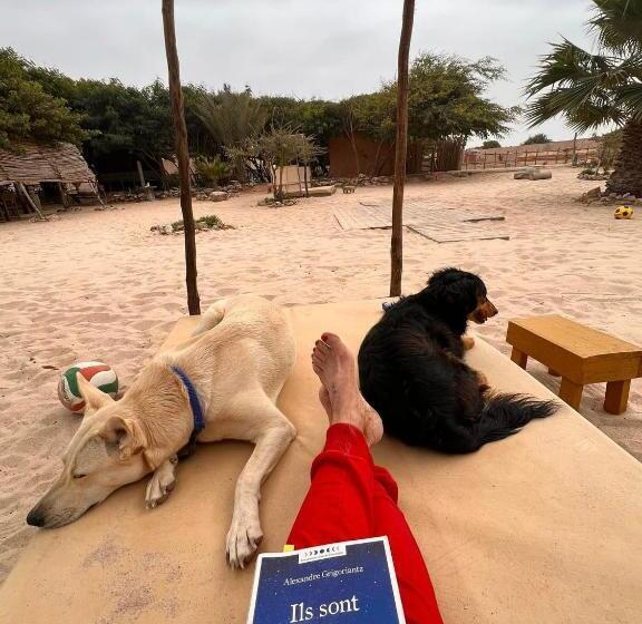 بنسيون Dar Tawarta Guest House Dakhla