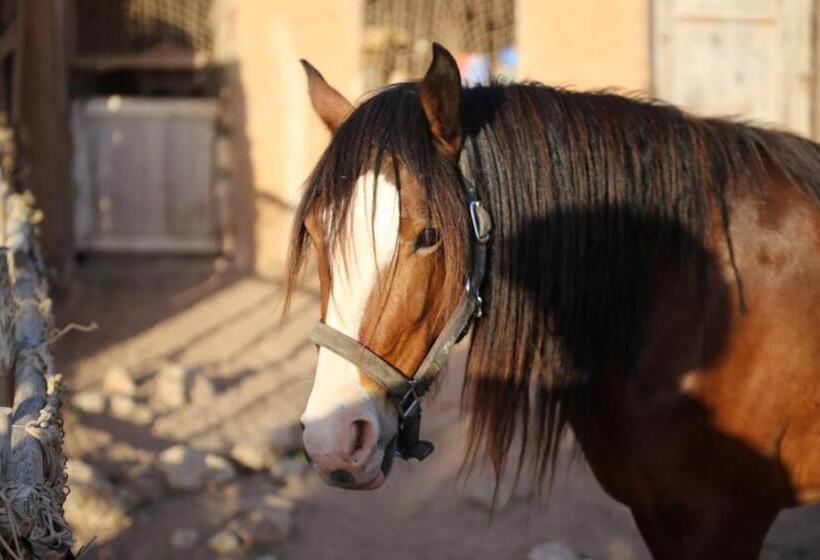 膳宿费 Dar Tawarta Guest House Dakhla