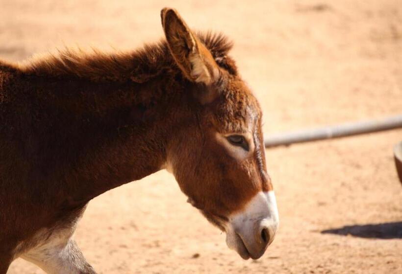 פנסיון Dar Tawarta Guest House Dakhla