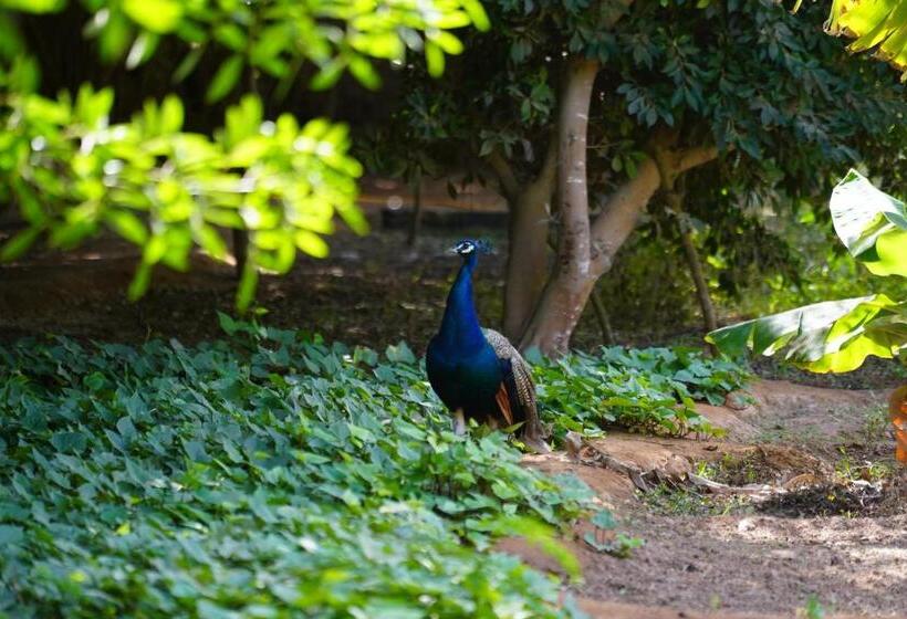 بنسيون Dar Tawarta Guest House Dakhla