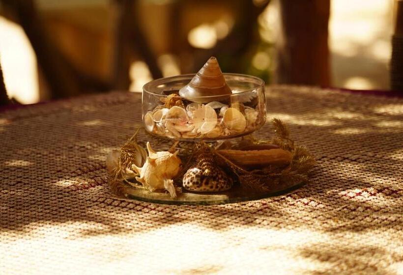 بنسيون Dar Tawarta Guest House Dakhla