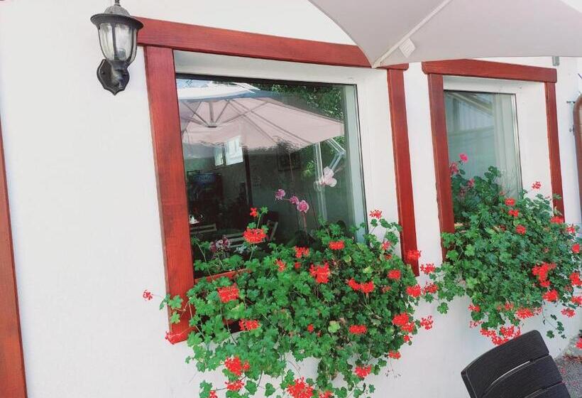 ベッドアンドブレックファースト Confort Inn