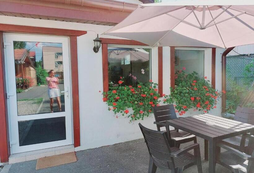 ベッドアンドブレックファースト Confort Inn