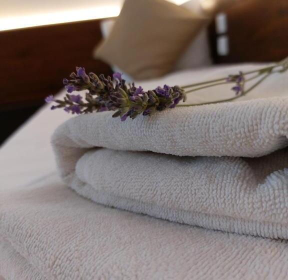 ベッドアンドブレックファースト Confort Inn