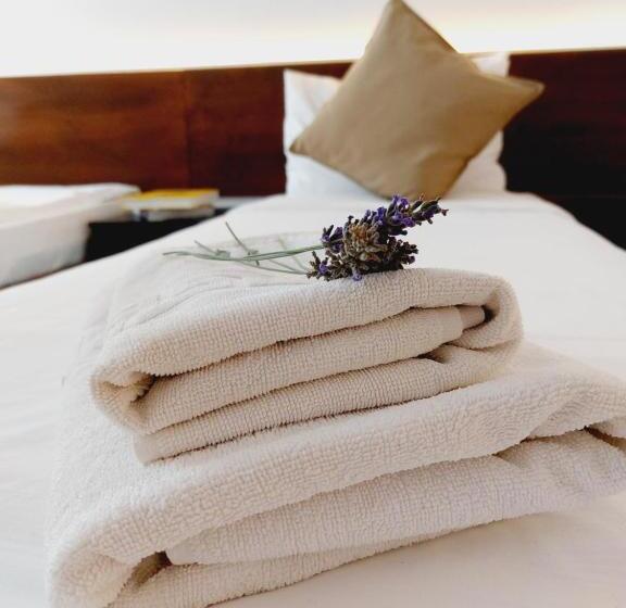 ベッドアンドブレックファースト Confort Inn