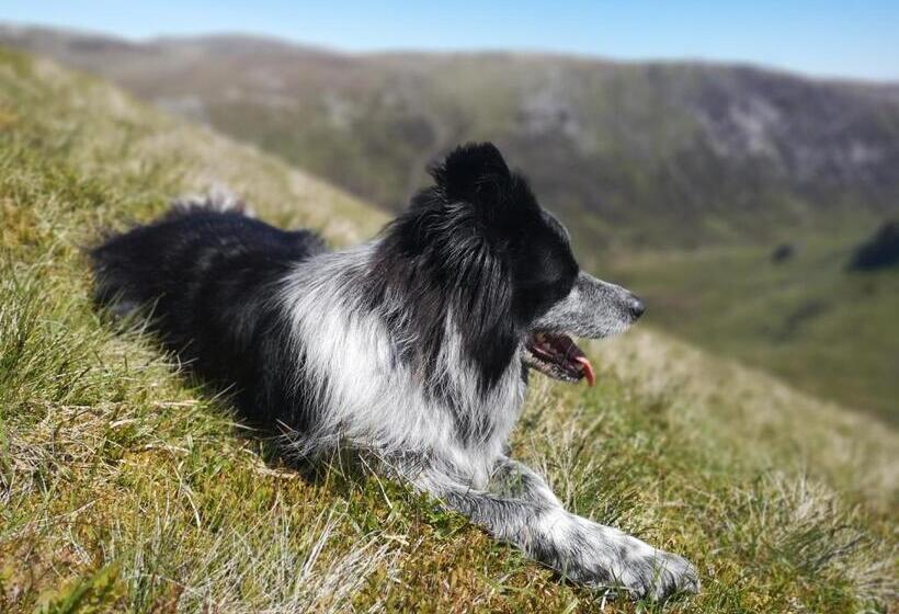 민박 Cranford Guest House